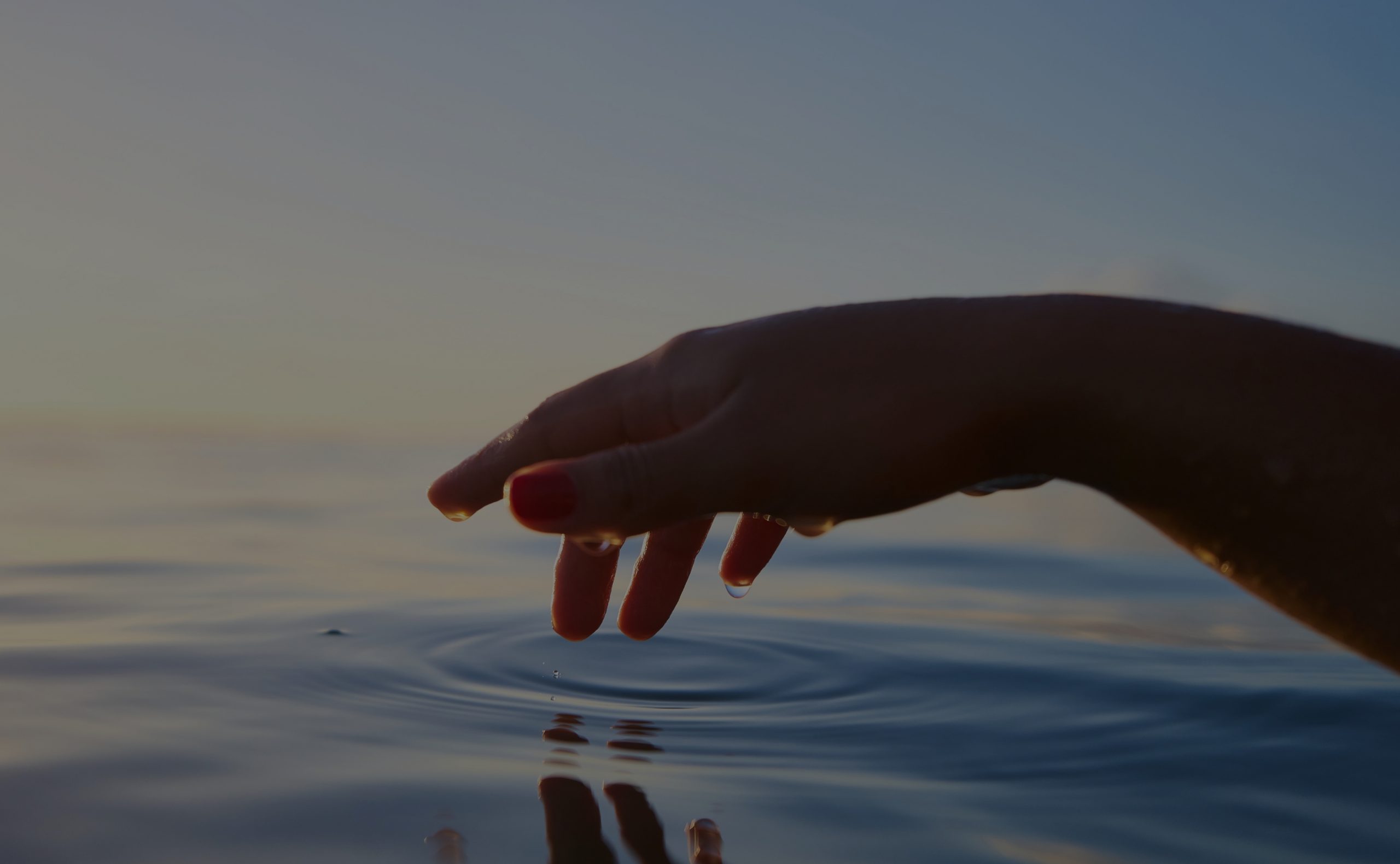 UV Water Sterilizers