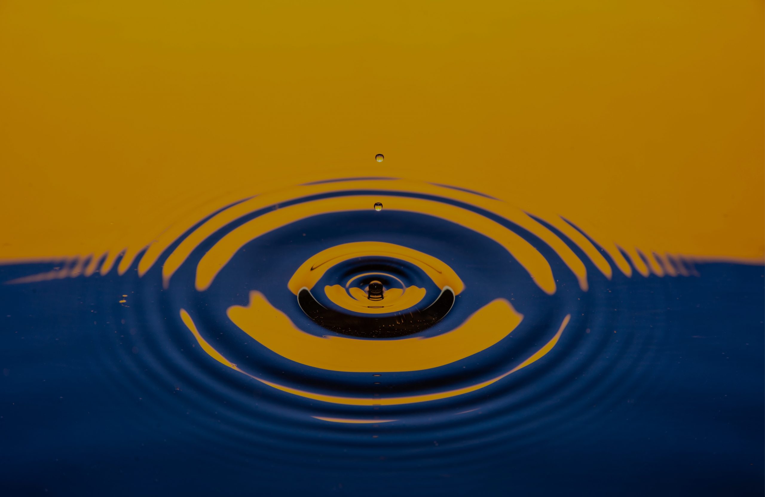 uv water sterilizers